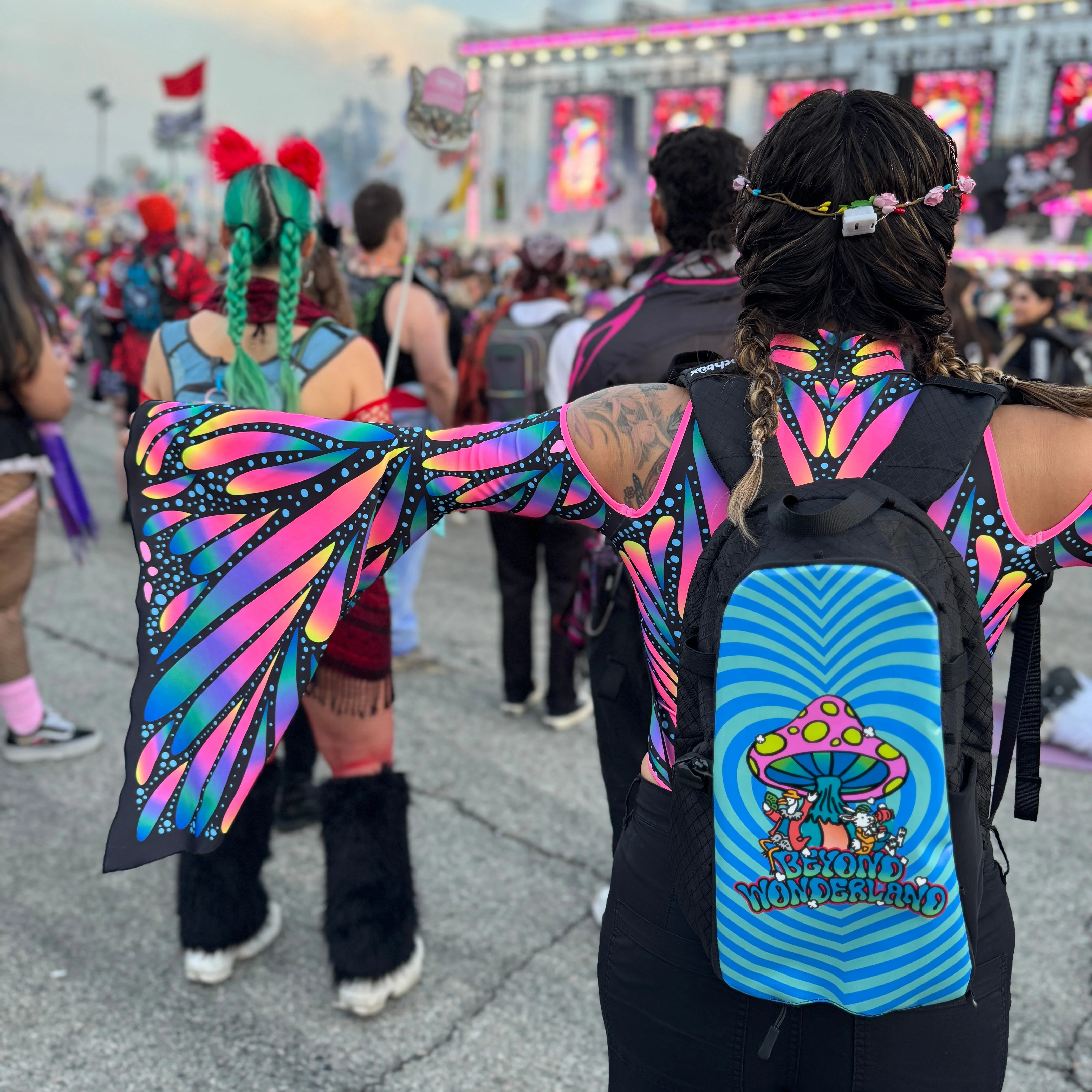 Beyond Wonderland Skin - Image 2