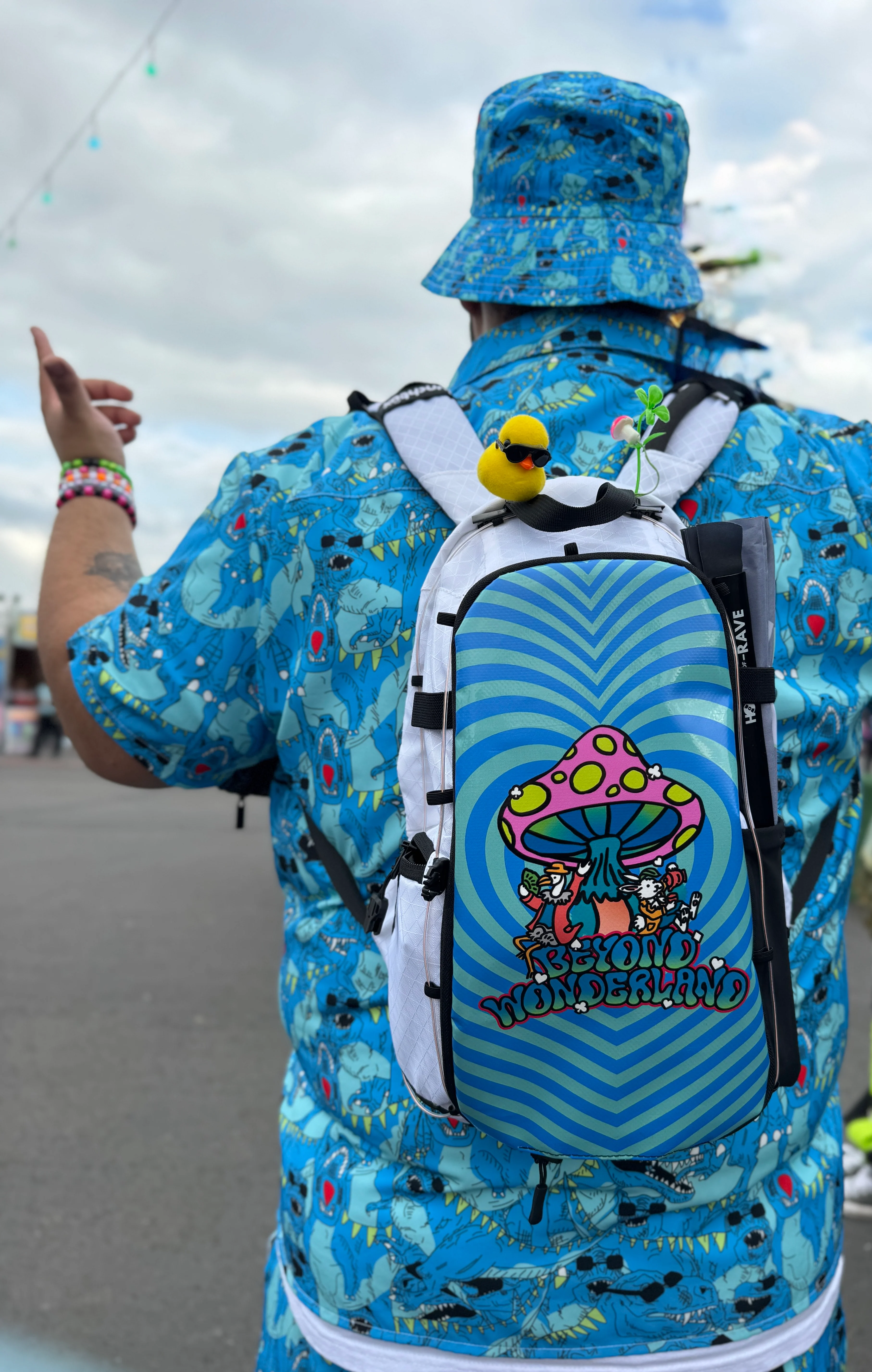 Beyond Wonderland Skin - Image 4