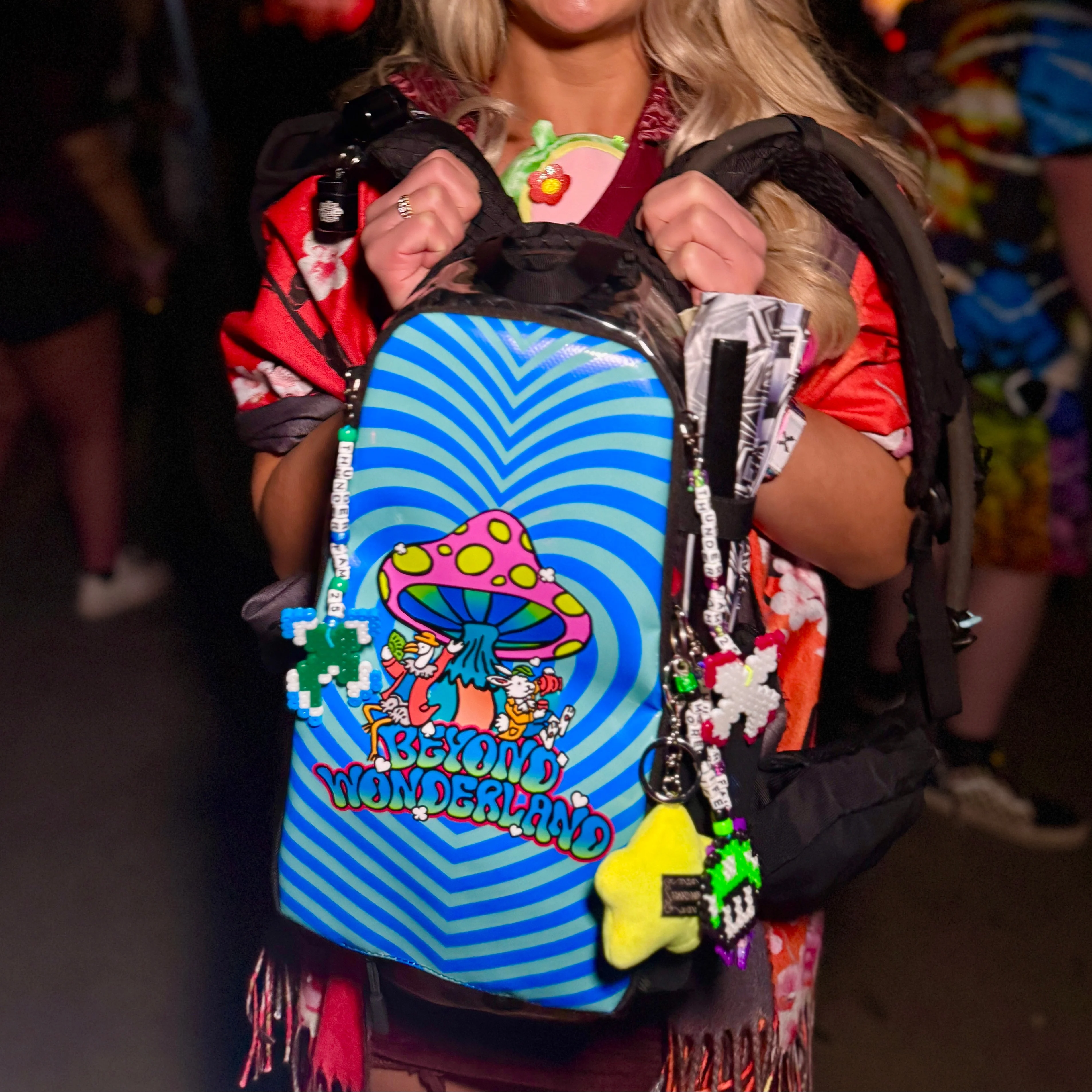 Beyond Wonderland Skin - Image 5